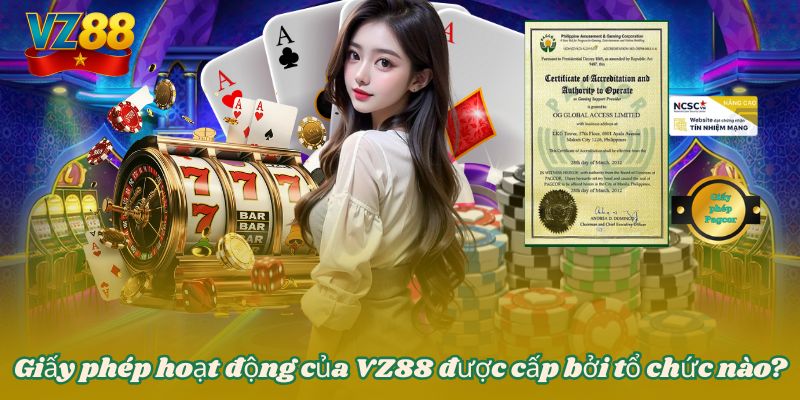 GIẤY PHÉP HOẠT ĐỘNG 2 Giấy phép hoạt động của VZ88 được cấp bởi tổ chức nào?