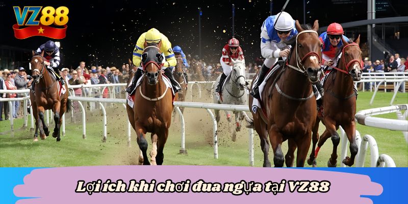 Lợi ích khi chơi đua ngựa tại VZ88
