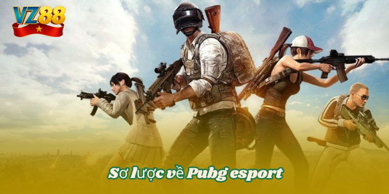 Pubg Esport VZ88 – Game huyền thoại với sức hút mãnh liệt 2 Sơ lược về Pubg esport