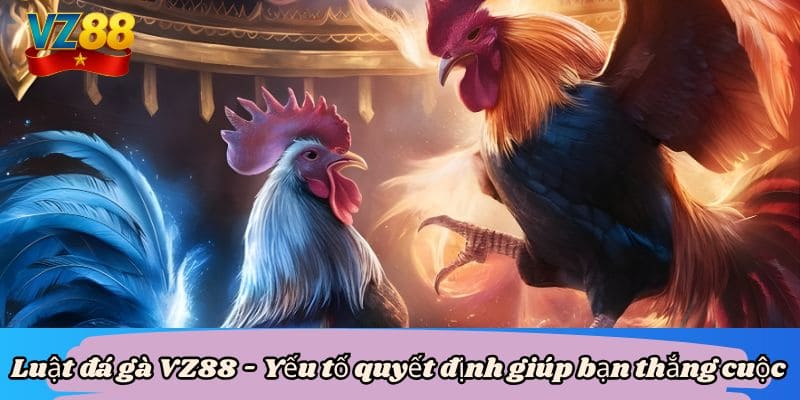 Luật đá gà VZ88 - Yếu tố quyết định giúp bạn thắng cuộc 2 Luật đá gà VZ88 - Yếu tố quyết định giúp bạn thắng cuộc